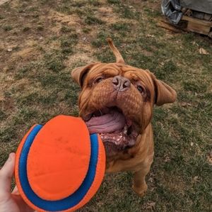 Meet your Posher, Steven